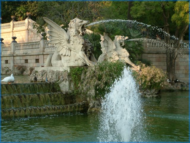 DSCF0210.JPG